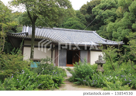 Byakugoji Byakugoji 13854530