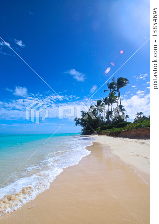 Lanikai海灘 Lanikai海灘 13854695