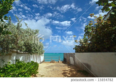 通往海灘的路 13854782