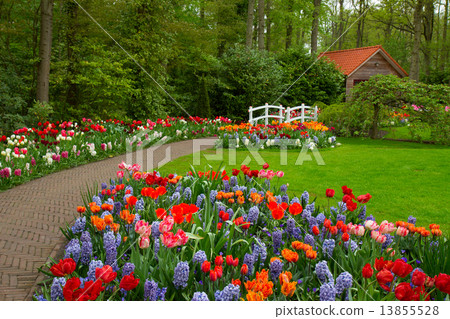 Hut in a spring 13855528