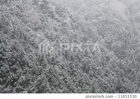 冬天的景色 13855530