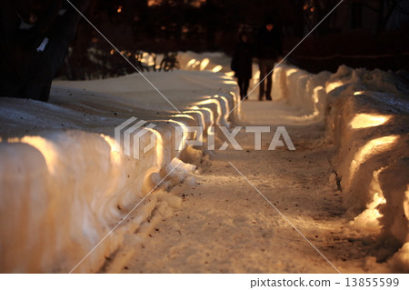 雪光 13855599