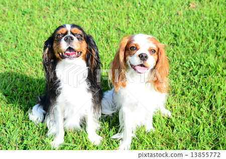 一個好朋友 13855772