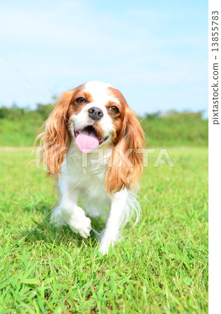 請稍等〜♪ 13855783