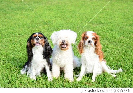 一個好朋友 一個好朋友 13855786