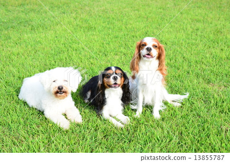 一個好朋友 13855787