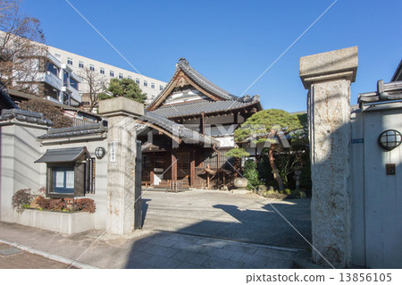 Kamiyaji Kamiyaji 13856105