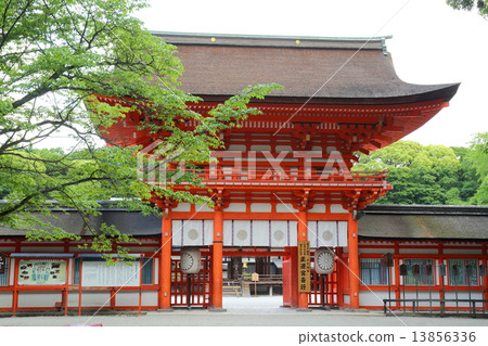 Kamogami Shrine Flower Gate in the early summer of Kyoto 13856336