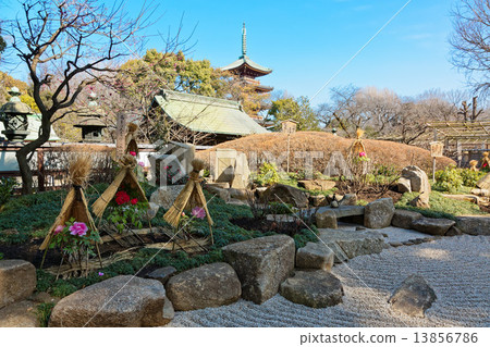 Ueno Toshogu Shibaen winter peony blossoms and five-storied pagoda Ueno Toshogu Shibaen winter peony blossoms and five-storied pagoda 13856786