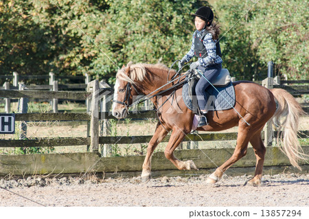 Girl runaway practice horseback riding 13857294