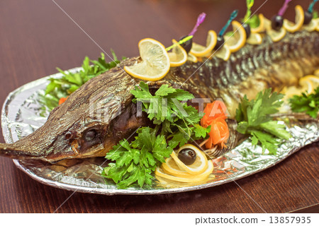 sturgeon sturgeon 13857935