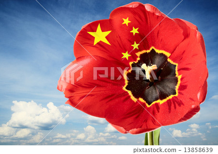 China flag China flag 13858639