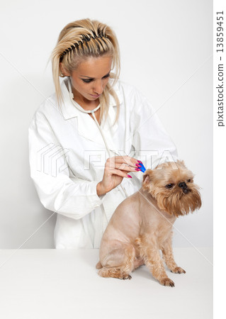 Tick Prevention Tick Prevention 13859451