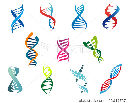 DNA molecules and symbols DNA molecules and symbols 13859737