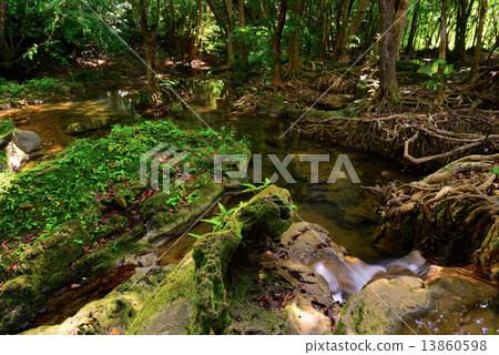 Creek closeup in a forrest Creek closeup in a forrest 13860598