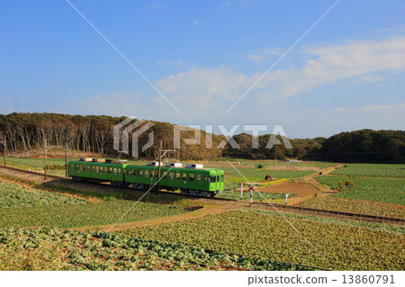 Choshi railway running cabbage field Choshi railway running cabbage field 13860791