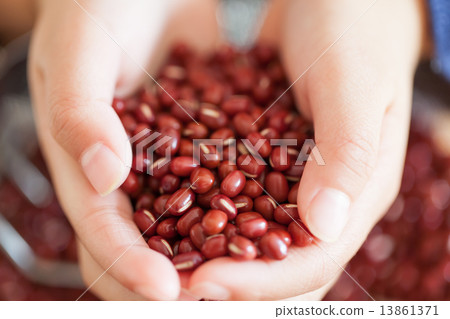 adzuki beans, hands, Both Hands 13861371