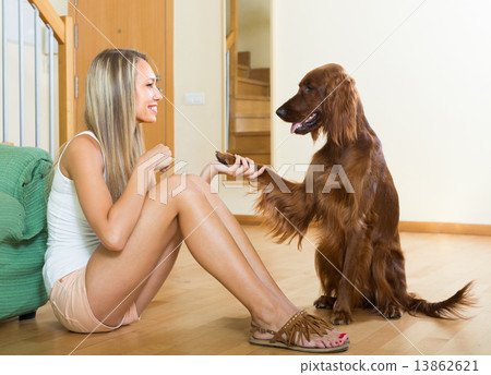 Adult girl with red Irish setter 13862621
