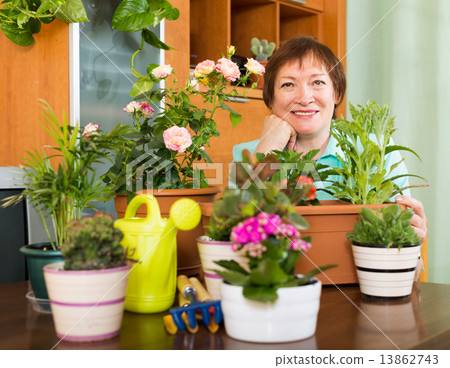 Grandmother gardener with plants 13862743