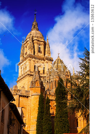 Old Cathedral in Salamanca Old Cathedral in Salamanca 13863612