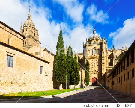Cathedral of Salamanca 13863627