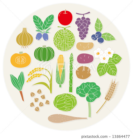 北方國家的蔬菜和水果 13864477