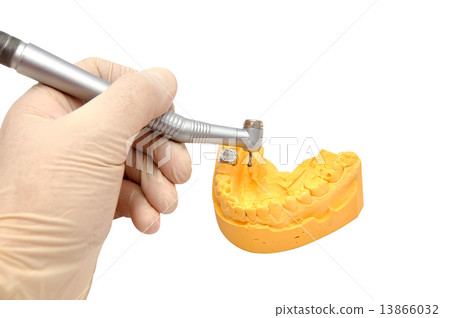 dental mould and cocklebur dental mould and cocklebur 13866032