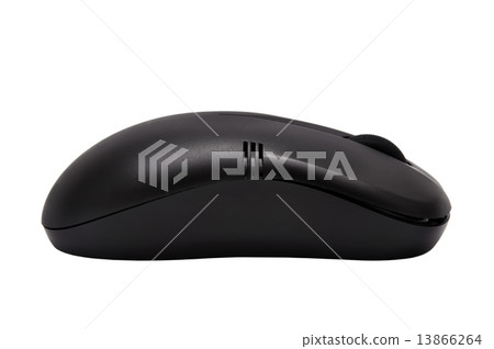 computer mouse computer mouse 13866264