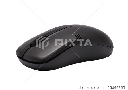 computer  mouse 13866265