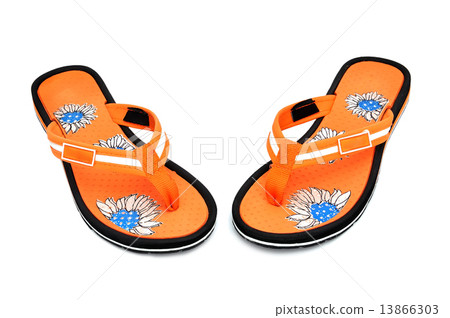 flip-flops 13866303