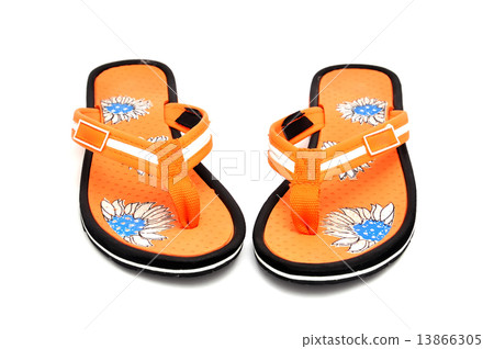 flip-flops 13866305