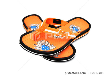 flip-flops 13866306