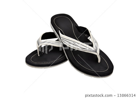 flip-flops 13866314