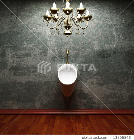 toilet toilet 13866848
