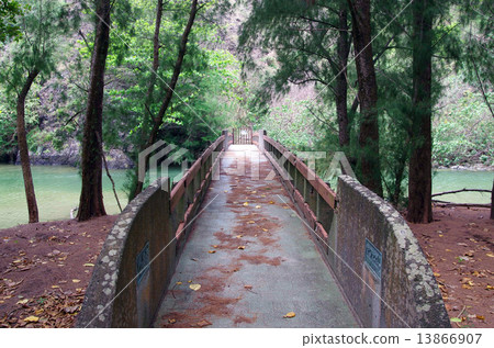 Bridge in the Hachigawa River (Scenery of the Ogote Coast (Chichijima)) Bridge in the Hachigawa River (Scenery of the Ogote Coast (Chichijima)) 13866907