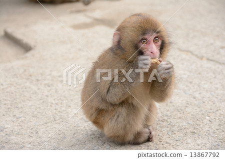 在用餐期間 13867792