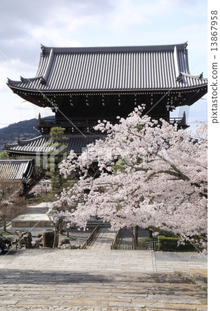 Kim commando Komyo temple in Kyoto spring 13867958