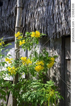 By the Wall. By the Wall. 13868388