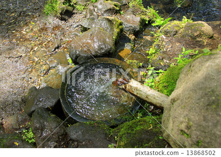 Shizuoka in the shelf 13868502