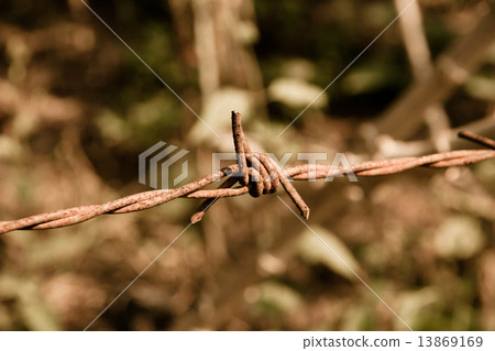 vintage barbed wire fence vintage barbed wire fence 13869169