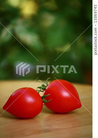 蕃茄 蕃茄 13869745