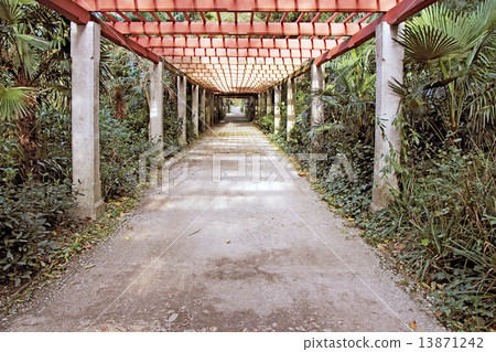 Pergola passage 13871242