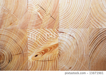 wooden circle 13871981