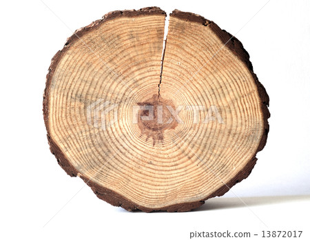 wooden circle 13872017