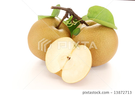 Pear 13872713