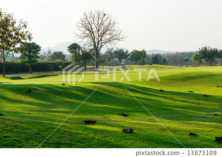 golf course in the evening 13873109