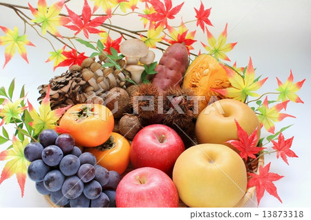 Full of taste of autumn 13873318