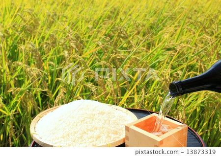 Autumn rice field New rice and sake 13873319