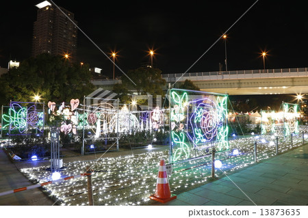 Osaka Hikari's Renaissance 2014 13873635