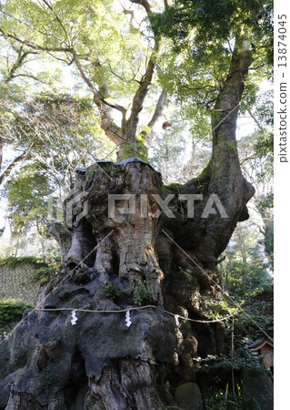 Atami Komiya Shrine 13874045